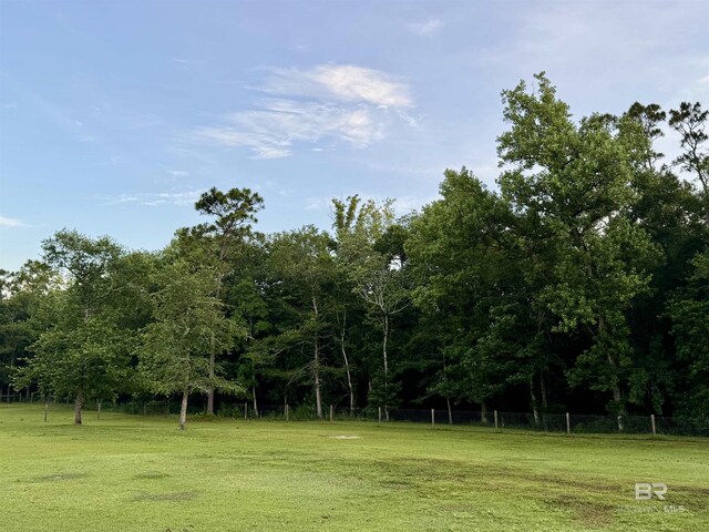 14281 Timber Ridge Dr, Loxley, AL 36551 - view of yard