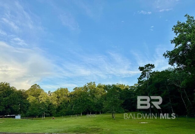 14281 Timber Ridge Dr, Loxley, AL 36551 - view of property's community with a lawn