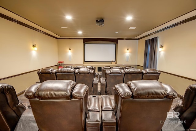 cinema room with ornamental molding