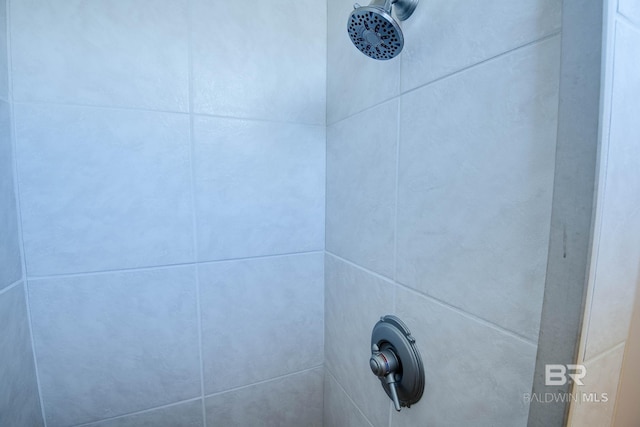 interior details featuring a tile shower