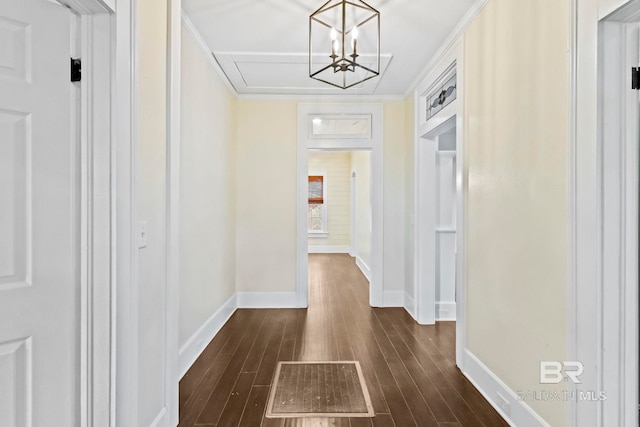 hallway featuring an inviting chandelier, dark wood-type flooring, and crown molding