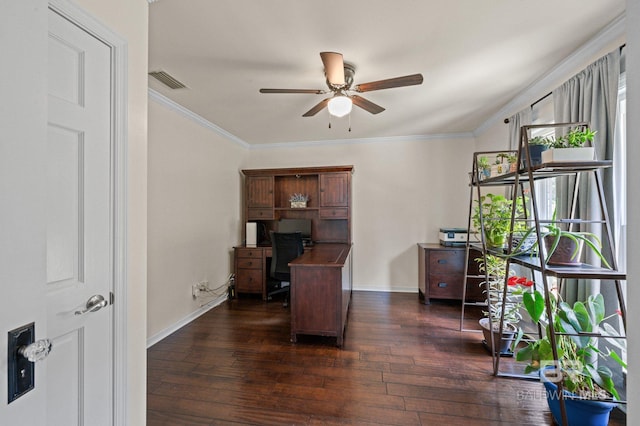 home office with dark hardwood / wood-style flooring, ceiling fan, and ornamental molding