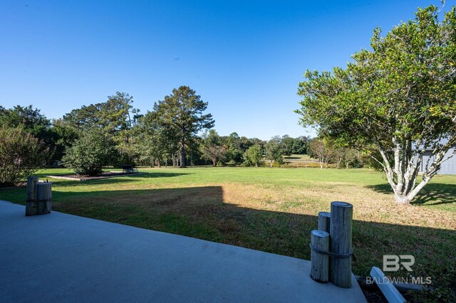 view of yard featuring a patio