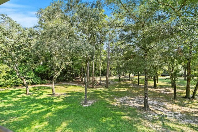 view of grassy yard