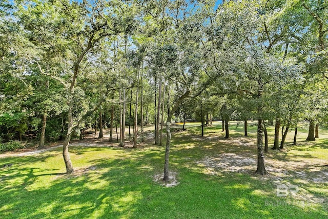 surrounding community featuring a yard