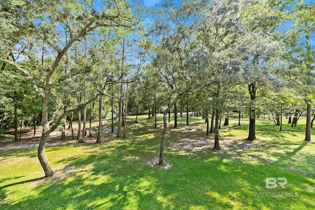 view of community with a yard