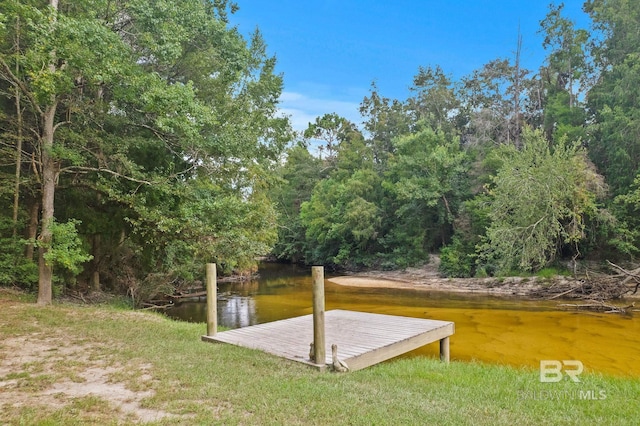 view of yard with a boat dock and a water view