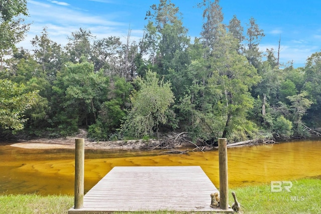 view of dock with a water view