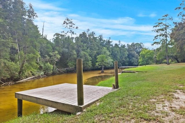 dock area featuring a yard and a water view