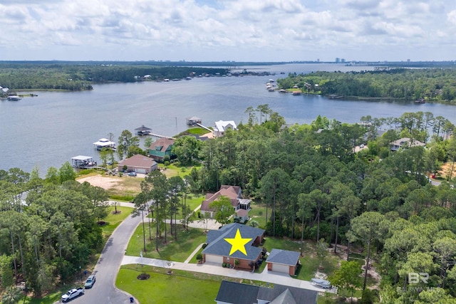 8954 Bay Point Dr, Elberta, AL 36530 - drone / aerial view with a water view