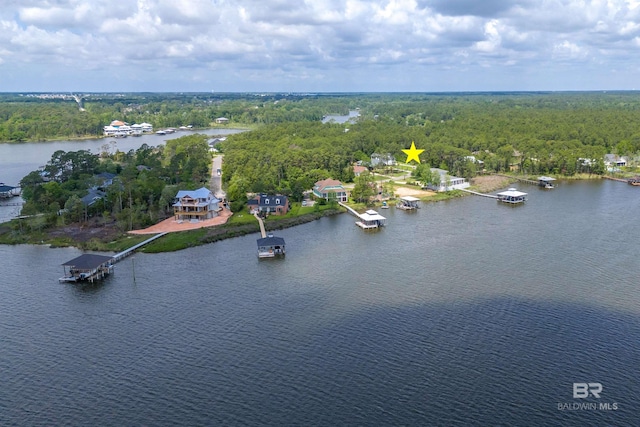 8954 Bay Point Dr, Elberta, AL 36530 - birds eye view of property with a forest view and a water view