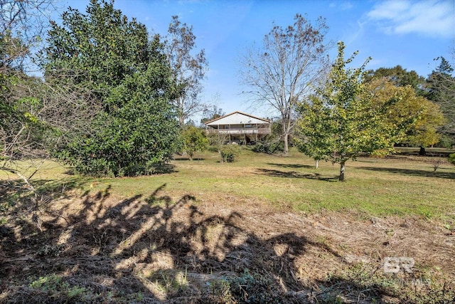 view of yard featuring a rural view