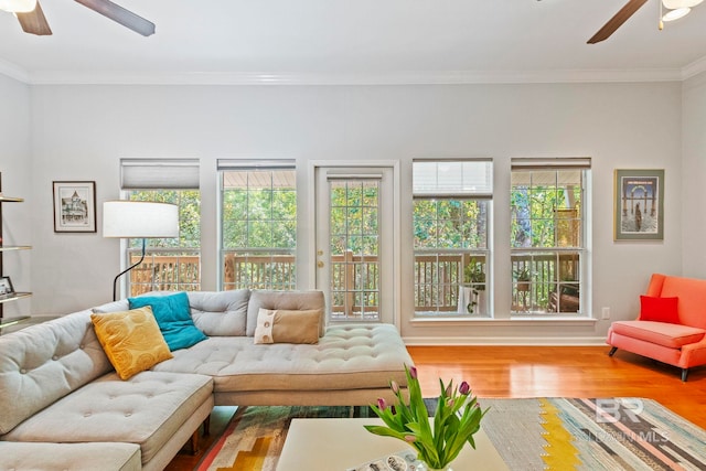 living room with ceiling fan, wood-type flooring, and ornamental molding