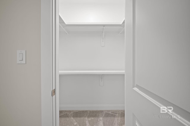 walk in closet with carpet floors
