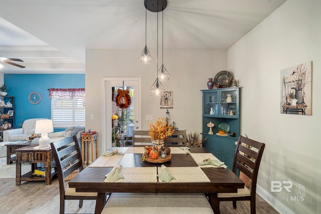 dining room featuring hardwood / wood-style floors, crown molding, and ceiling fan