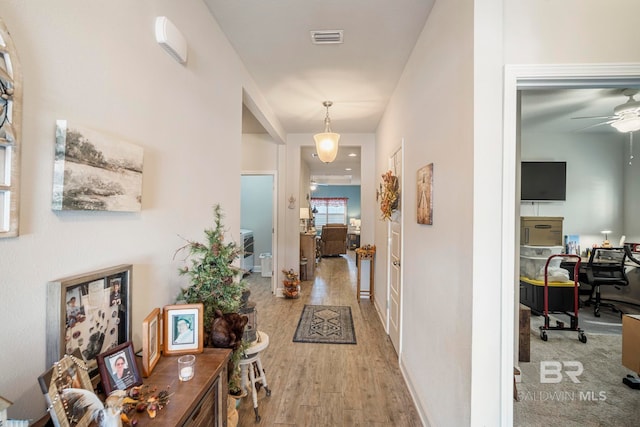 hallway featuring a wealth of natural light and light hardwood / wood-style floors