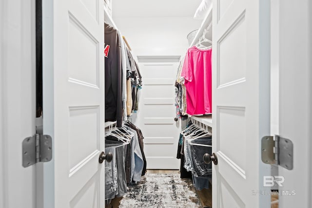 walk in closet with wood-type flooring