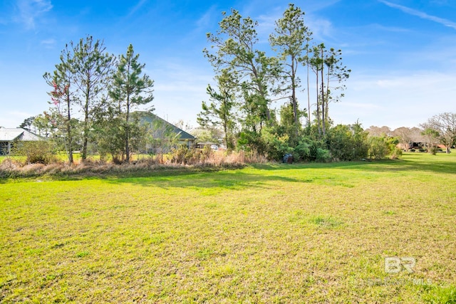 22258 Hibiscus Cir, Foley, AL 36535 - view of yard