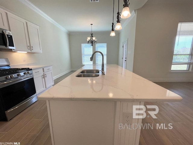 22258 Hibiscus Cir, Foley, AL 36535 - kitchen with a wealth of natural light, stainless steel appliances, crown molding, and a sink