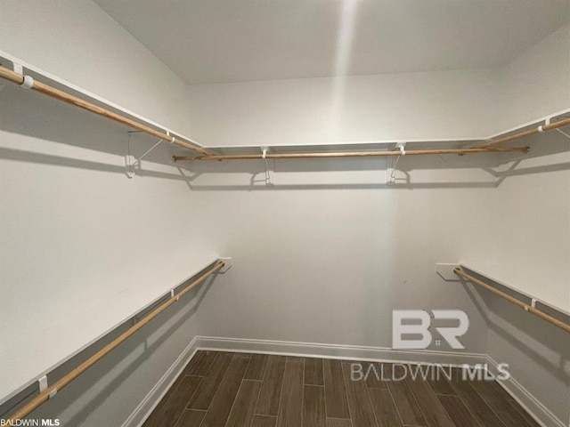 22258 Hibiscus Cir, Foley, AL 36535 - spacious closet with wood finish floors