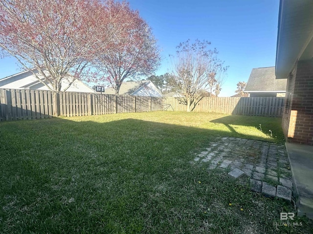 view of yard with a patio area and a fenced backyard