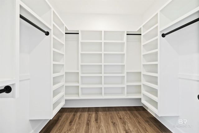 spacious closet featuring dark hardwood / wood-style floors