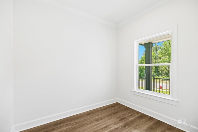 spare room featuring wood-type flooring, a wealth of natural light, and crown molding