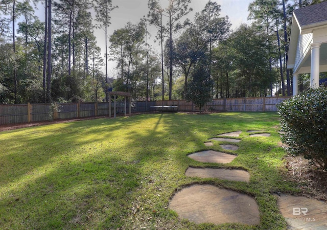 view of yard featuring a fenced backyard