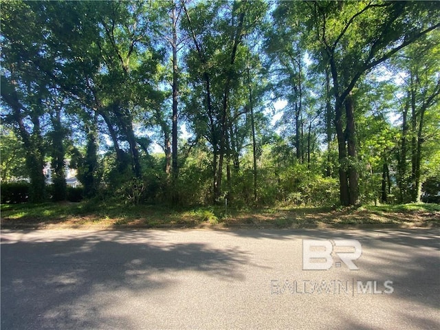 Listing photo 3 for 6448 Canebrake Rd, Mobile AL 36695