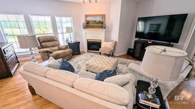 living room featuring light wood-type flooring