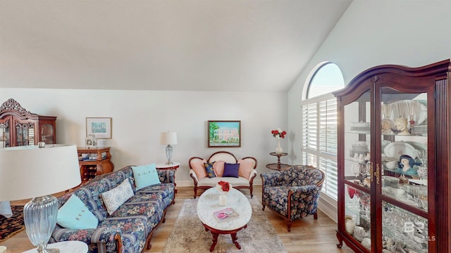 living area with lofted ceiling and wood finished floors