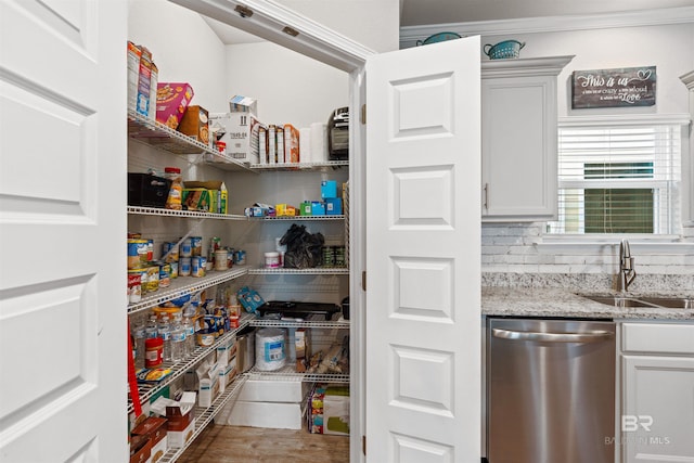 pantry featuring sink