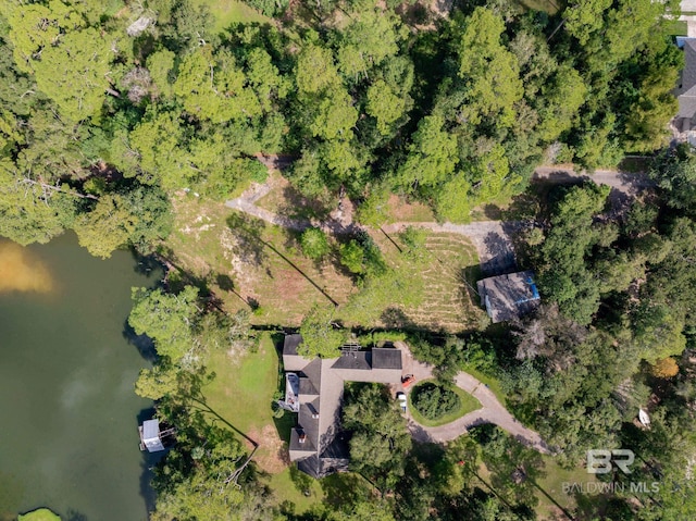 bird's eye view with a water view