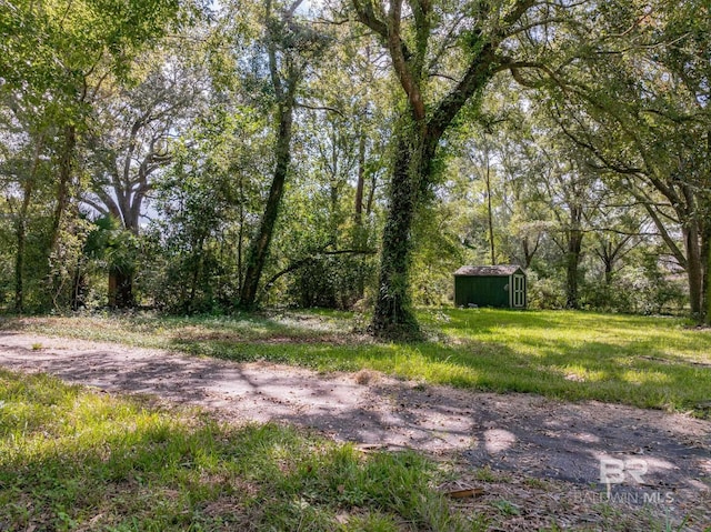 view of yard featuring a shed