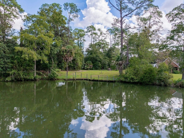 property view of water