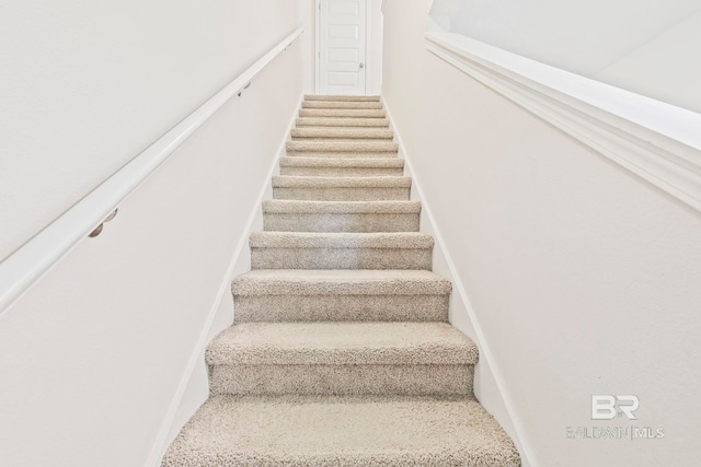 stairway featuring carpet floors