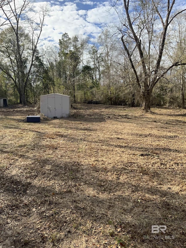 view of yard featuring a storage shed