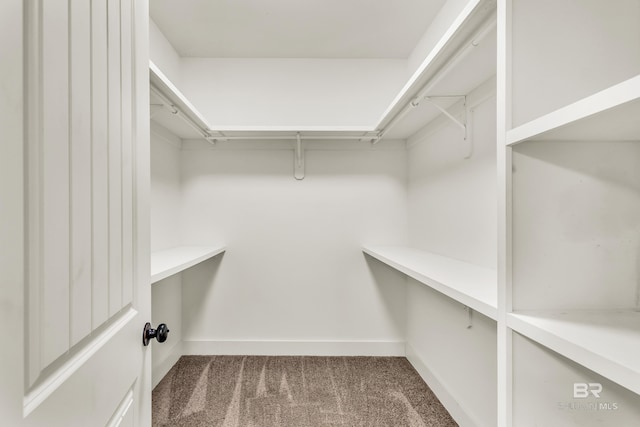 walk in closet featuring dark carpet