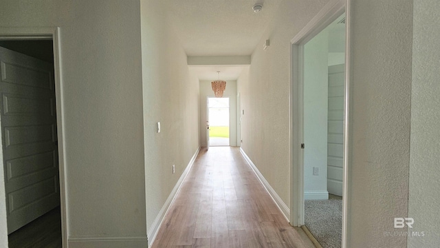 1897 Carly St, Foley, AL 36535 - corridor featuring light wood-style floors, a textured wall, and baseboards