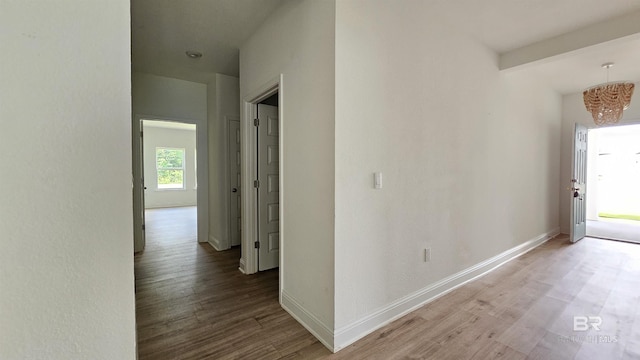 1897 Carly St, Foley, AL 36535 - corridor with wood finished floors, a chandelier, and baseboards