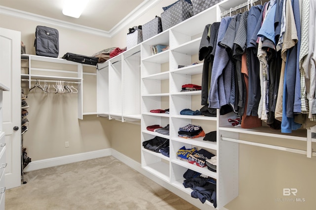spacious closet with carpet floors