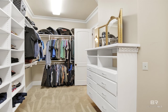 walk in closet featuring light carpet