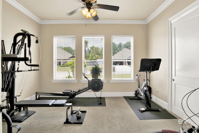 workout room with crown molding, baseboards, ceiling fan, and carpet floors