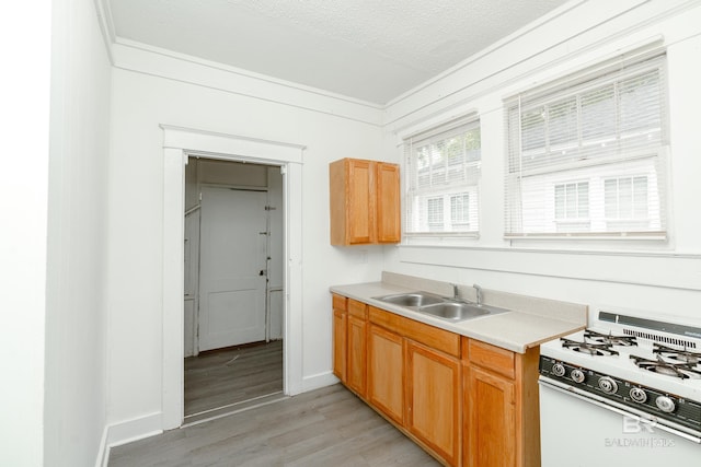 kitchen with light wood-type flooring, a textured ceiling, ornamental molding, white gas range oven, and sink