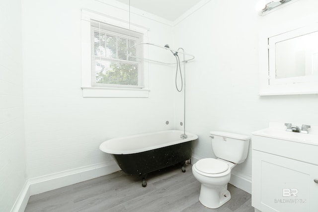 bathroom with hardwood / wood-style flooring, toilet, and vanity