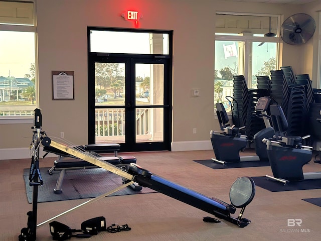 workout area featuring carpet, french doors, and plenty of natural light