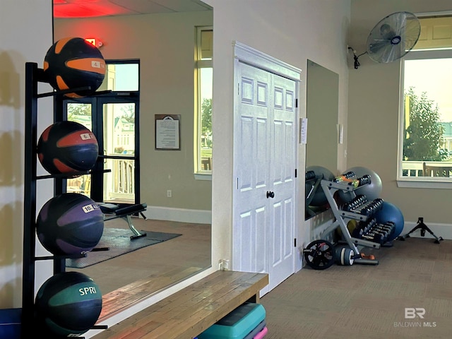exercise area featuring carpet flooring