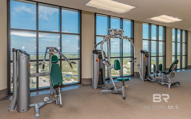 workout area featuring expansive windows and plenty of natural light