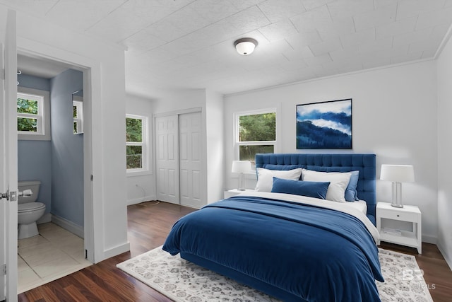 bedroom featuring multiple windows, wood finished floors, and a closet