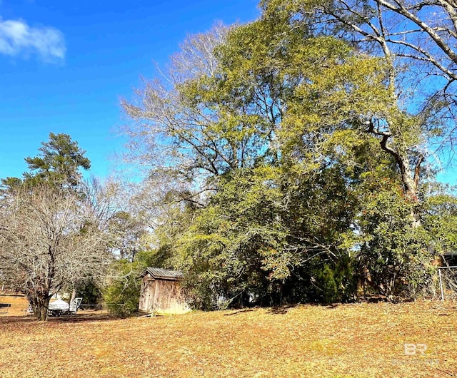 view of yard with a shed